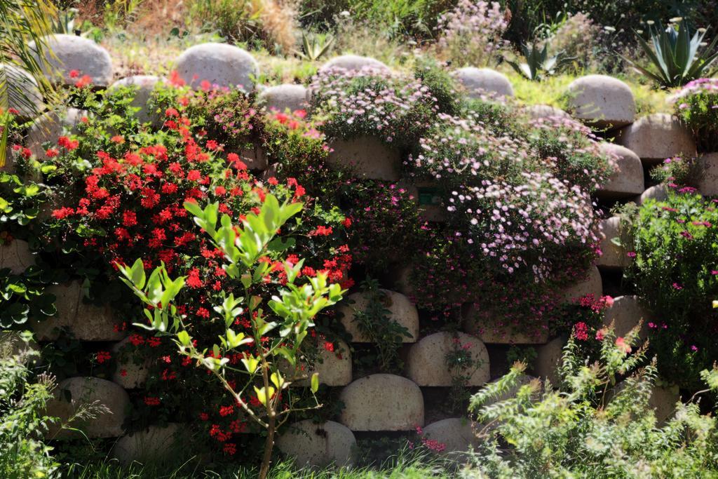 Bed and Breakfast Residenza Roma Tropea Exterior foto
